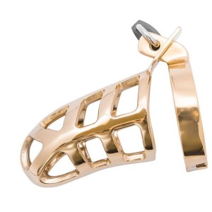 Brutal Stainless Steel Chastity Penis Cage - Gold